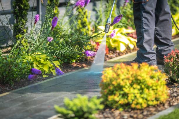 Best Pre-Holiday Cleaning  in Sutter Creek, CA